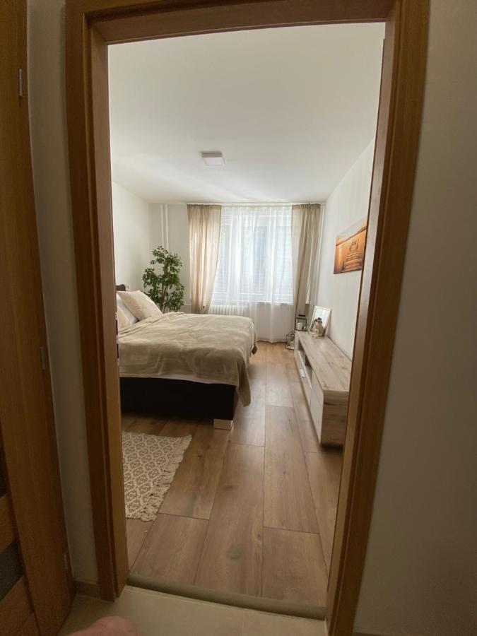 Sting Apartmany Trinec Extérieur photo